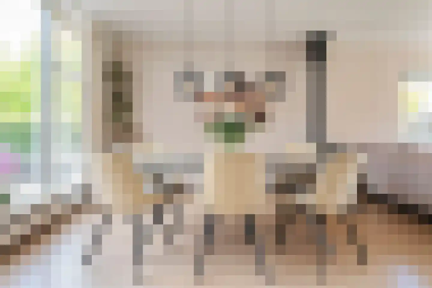 Spatterstraat 2 Wormer thumbnail 8