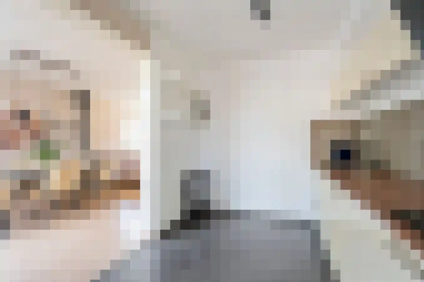 Spatterstraat 2 Wormer thumbnail 9