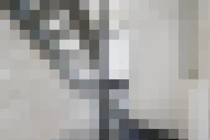 Spatterstraat 26 A Wormer thumbnail 23