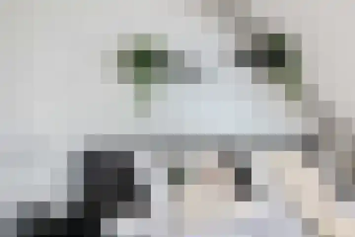 Spatterstraat 26 A Wormer thumbnail 28