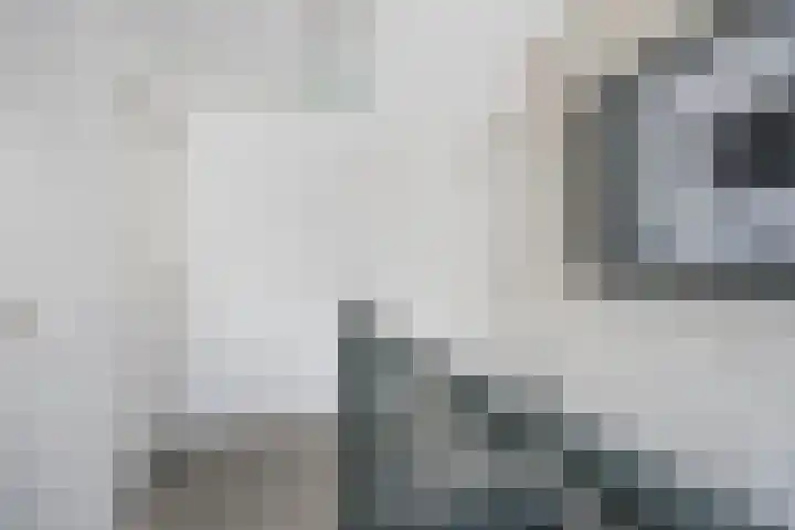 Spatterstraat 26 A Wormer thumbnail 39