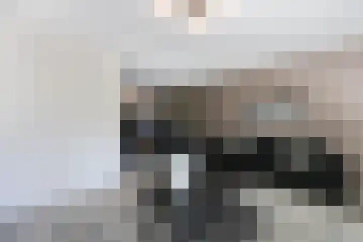 Spatterstraat 26 A Wormer thumbnail 5