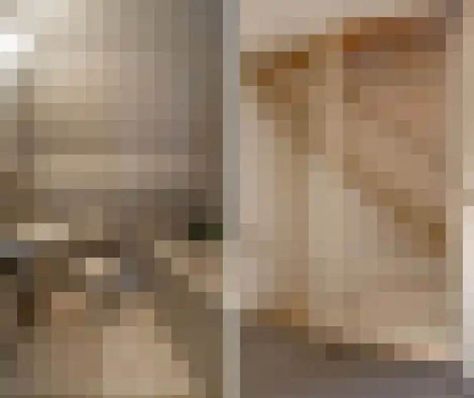 Spaubeekerhof 29 Spaubeek thumbnail 15