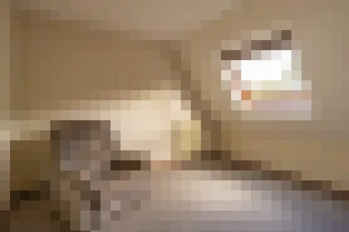 Spaubeekerhof 29 Spaubeek thumbnail 16