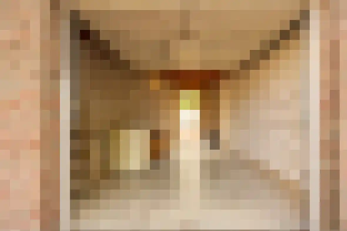 Spaubeekerhof 29 Spaubeek thumbnail 22