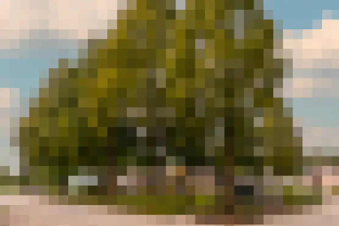 Spaubeekerhof 29 Spaubeek thumbnail 24