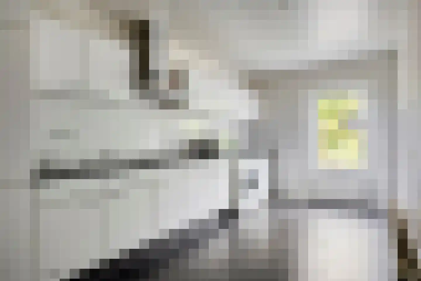 Spaubeekerhof 32 Spaubeek thumbnail 19