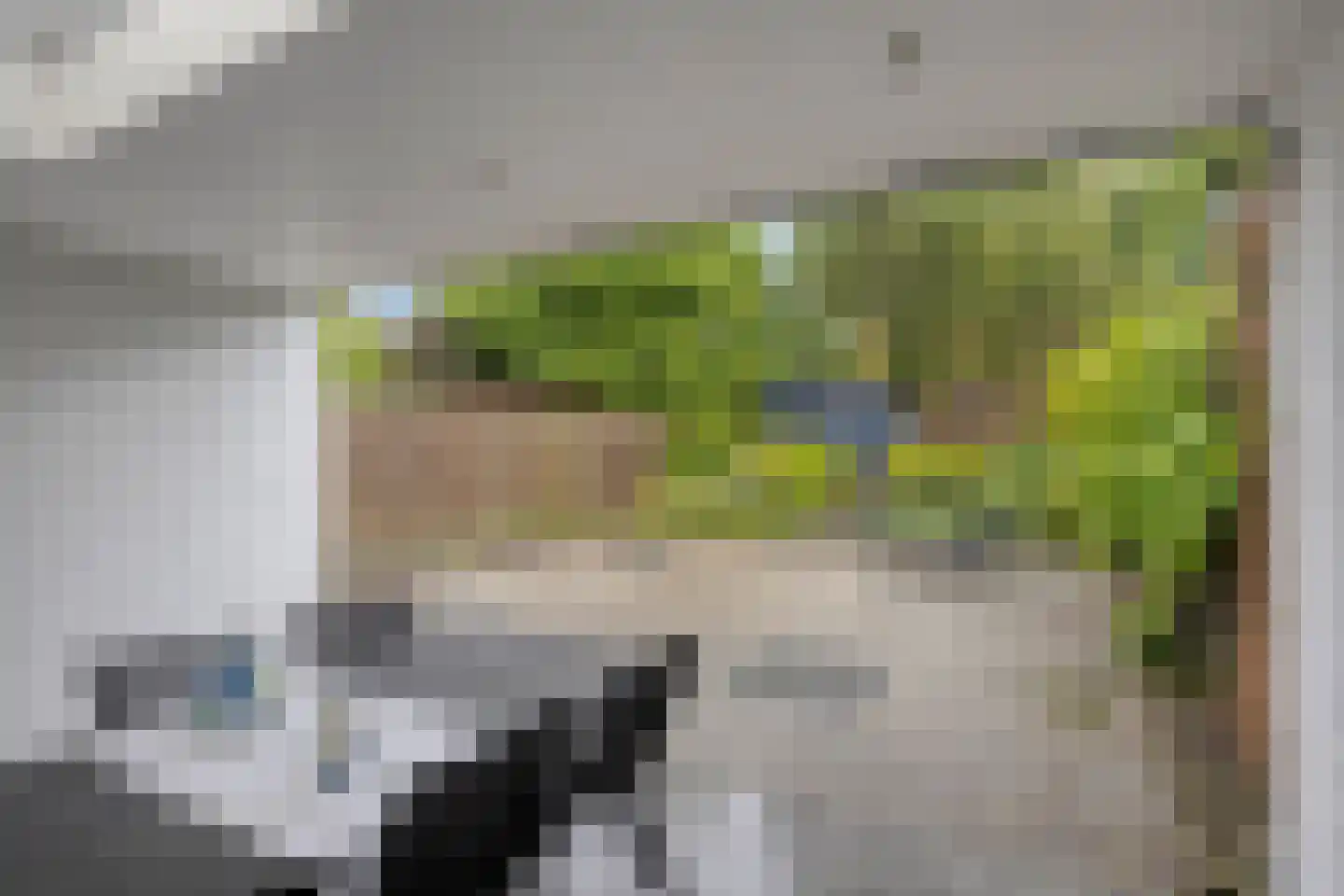 Spaubeekerhof 32 Spaubeek thumbnail 36