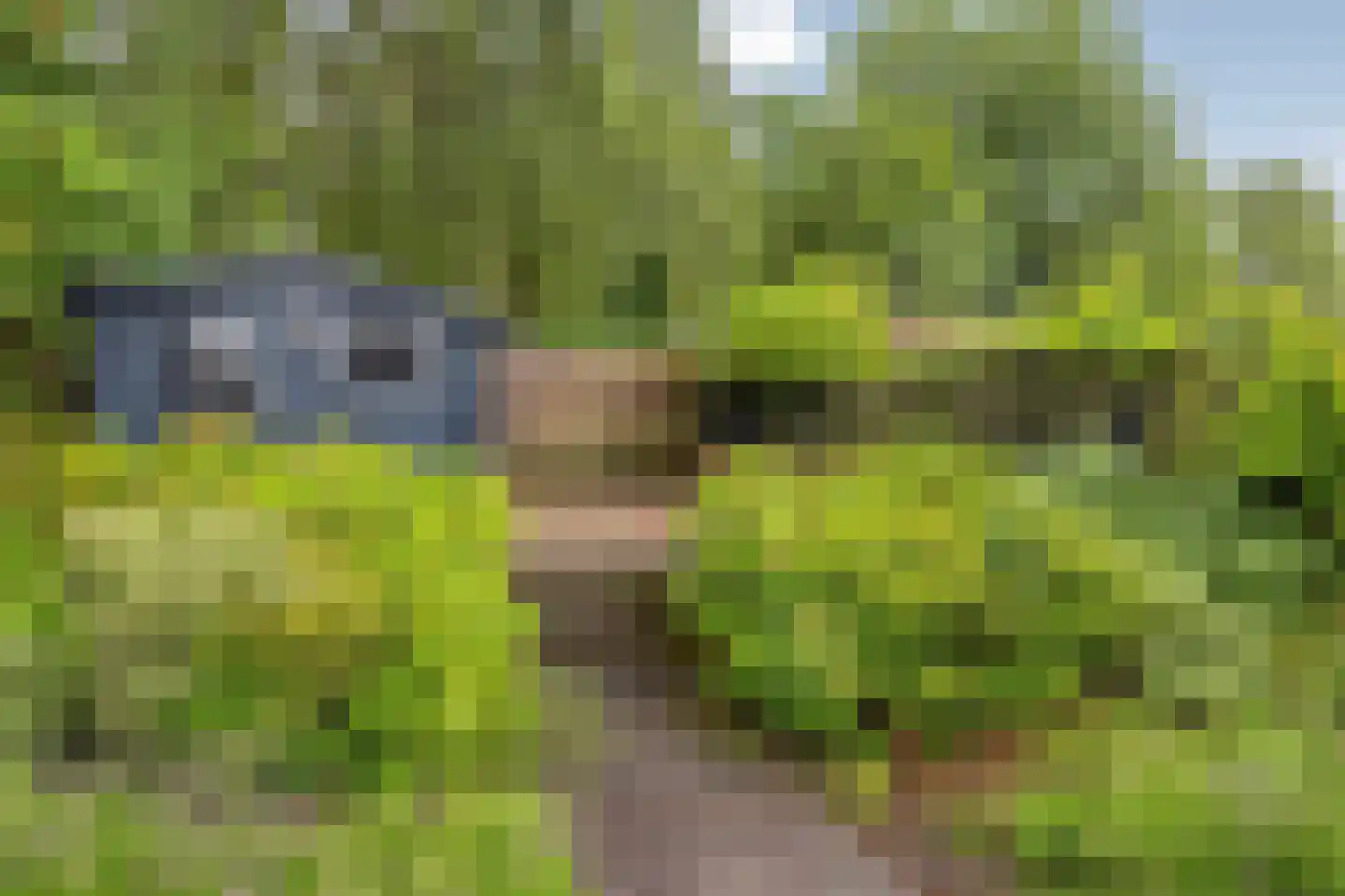 Spaubeekerhof 32 Spaubeek thumbnail 37