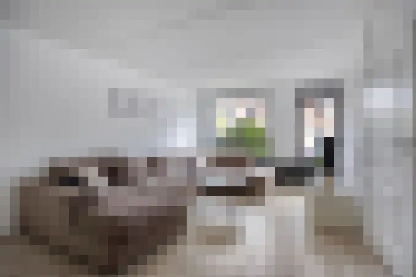 Spaubeekerhof 32 Spaubeek thumbnail 5