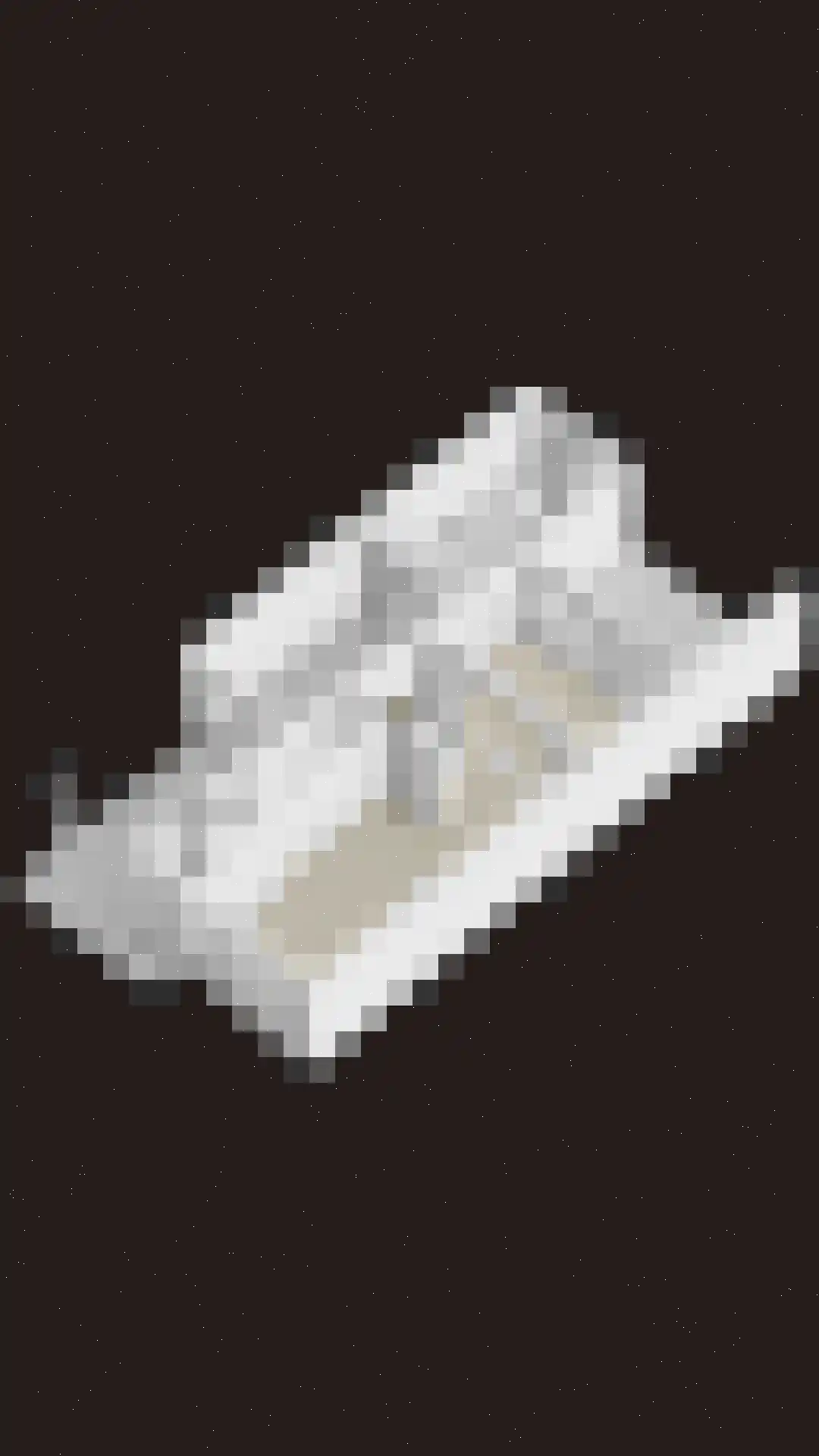 Spaubeekerhof 32 Spaubeek thumbnail 54