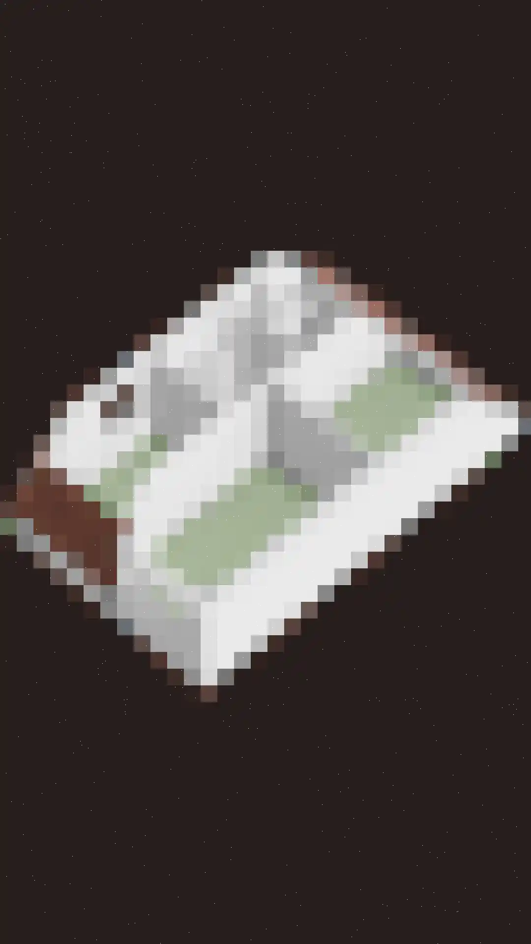 Spaubeekerhof 32 Spaubeek thumbnail 55