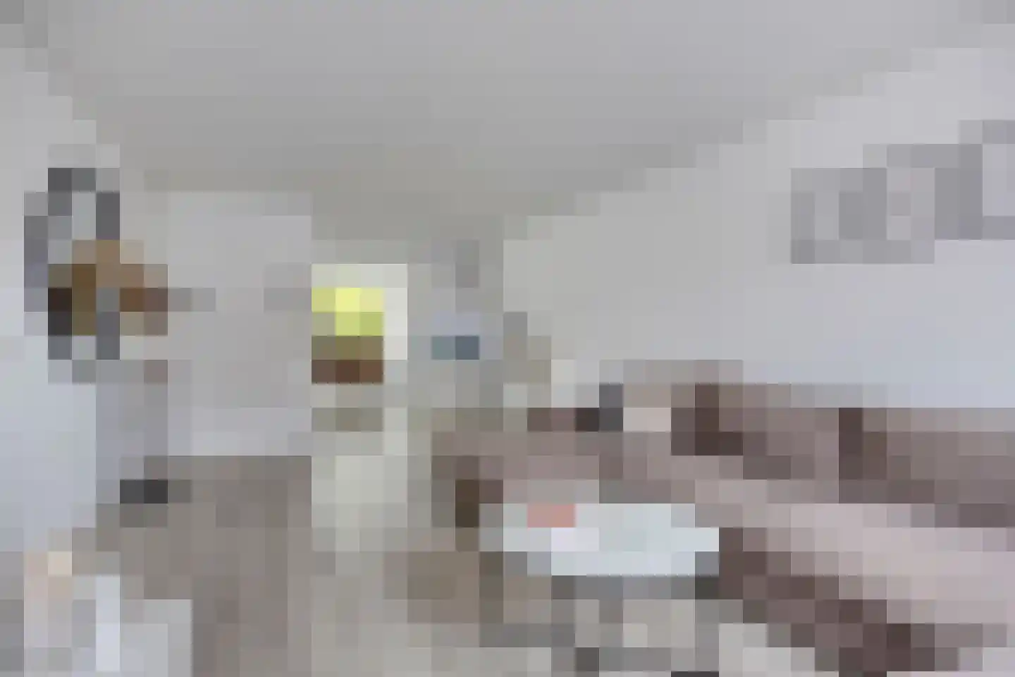 Spaubeekerhof 32 Spaubeek thumbnail 6