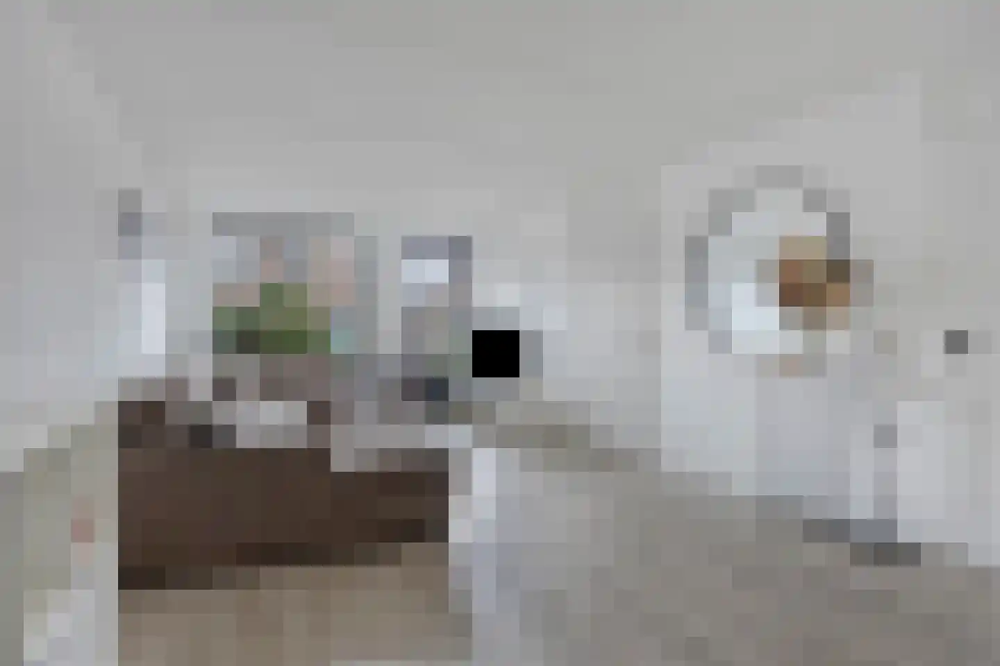 Spaubeekerhof 32 Spaubeek thumbnail 9