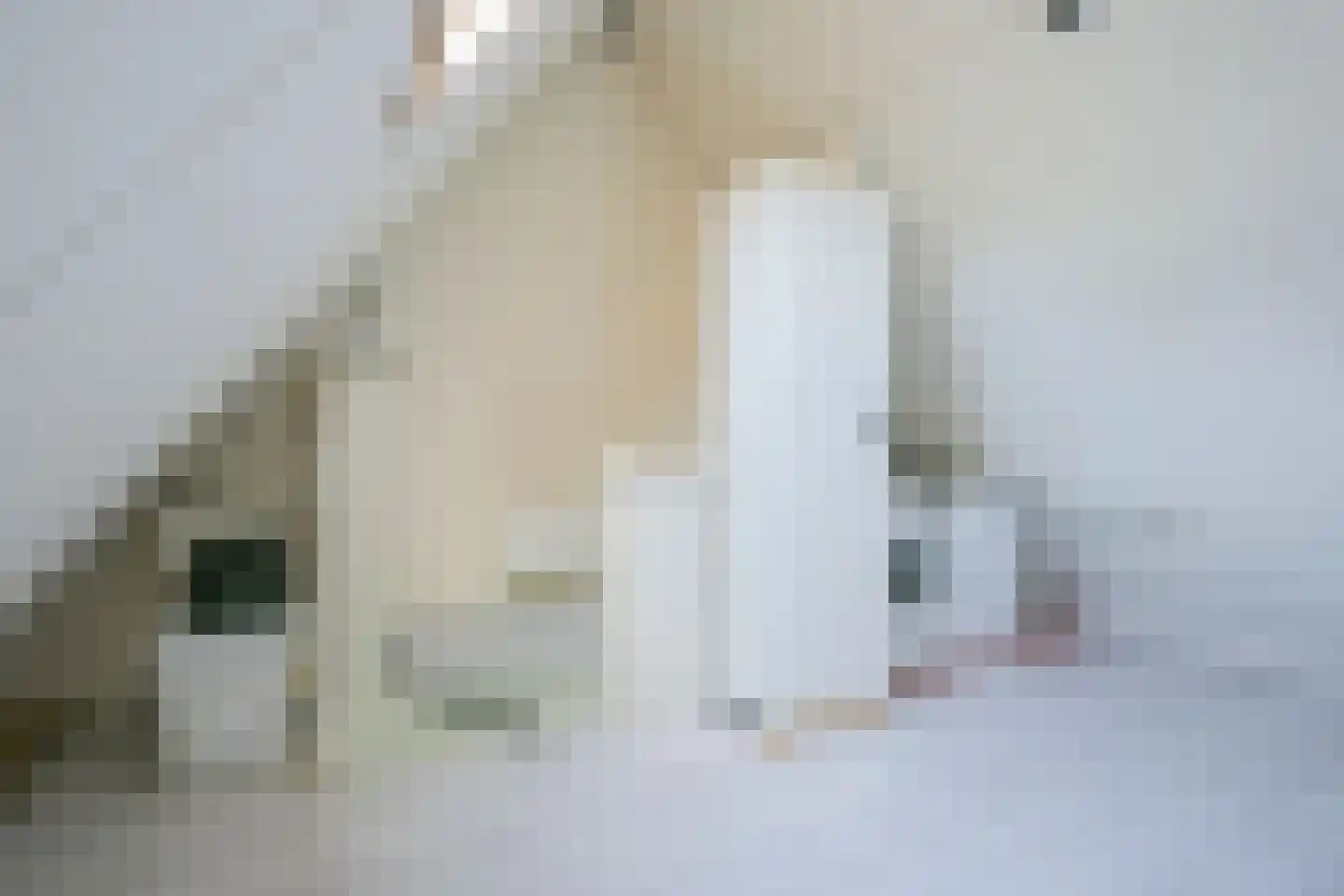 Spaubeekerhof 33 Spaubeek thumbnail 29