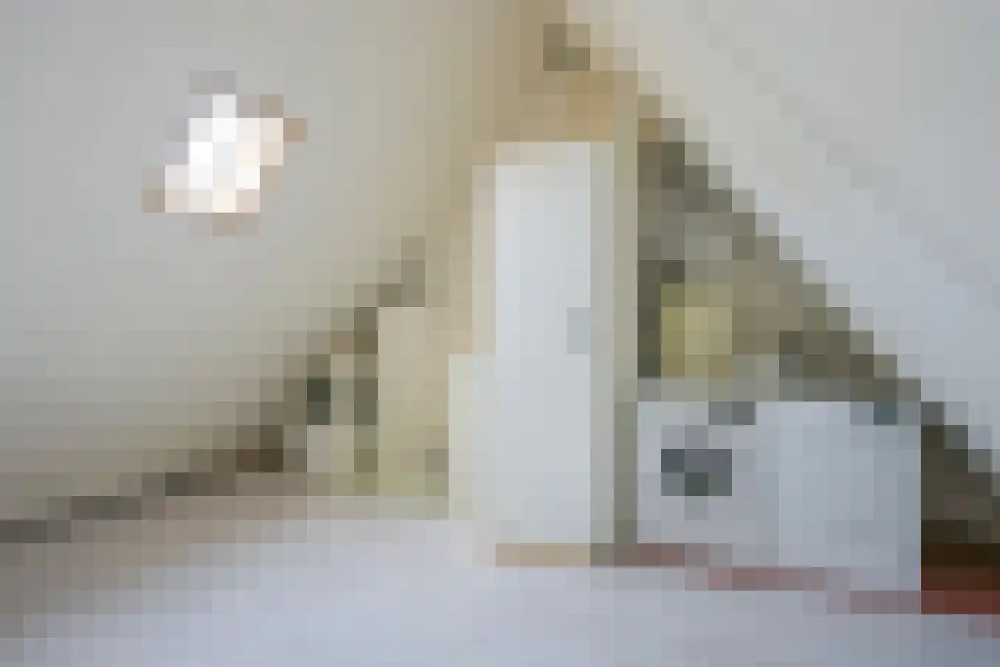 Spaubeekerhof 33 Spaubeek thumbnail 8