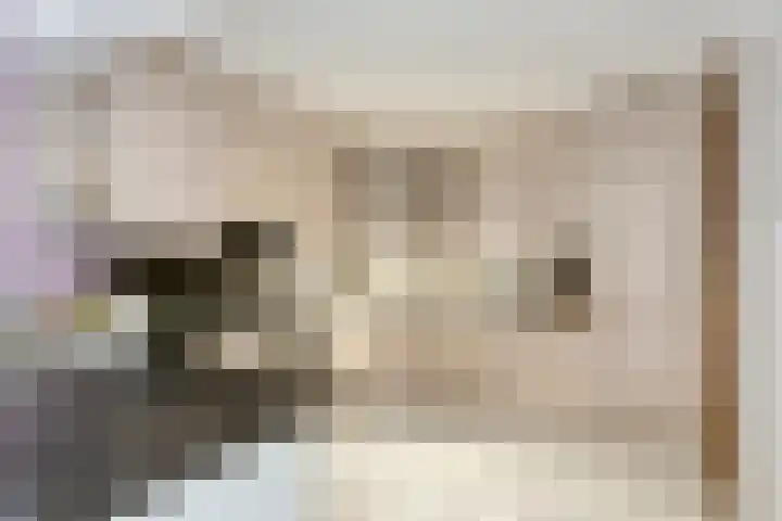 Spaubeekerstraat 111 Beek thumbnail 14