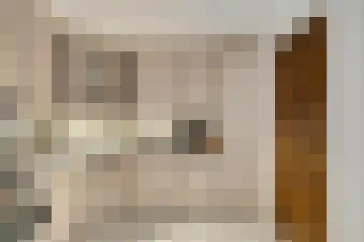 Spaubeekerstraat 111 Beek thumbnail 15