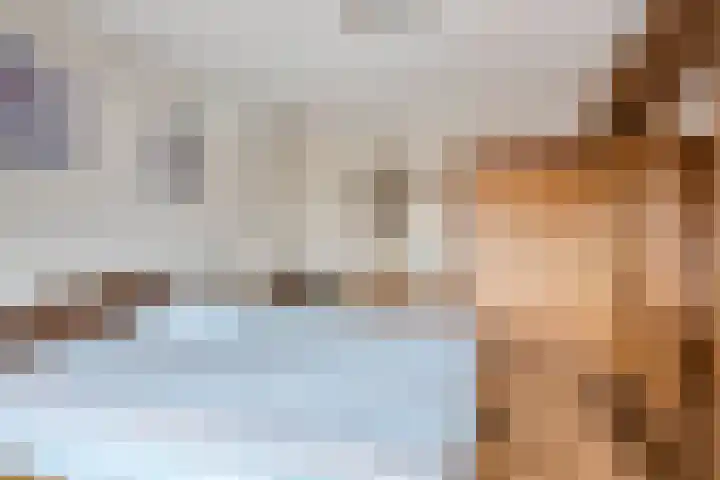 Spaubeekerstraat 111 Beek thumbnail 24