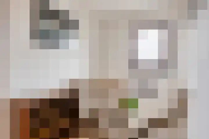 Spaubeekerstraat 111 Beek thumbnail 33