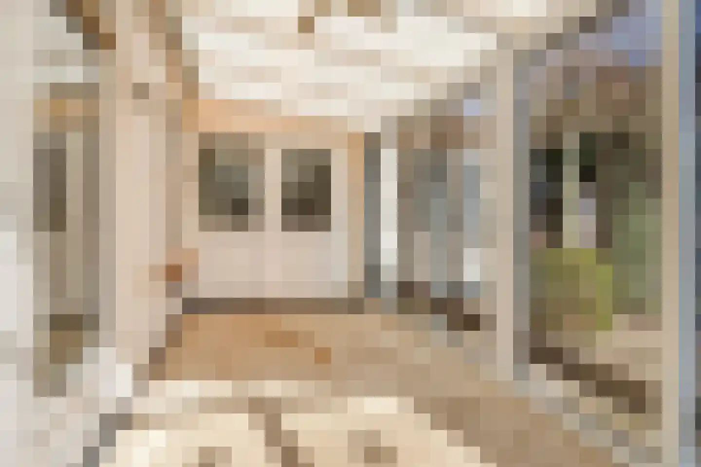 Spaubeekerstraat 29 Beek thumbnail 19