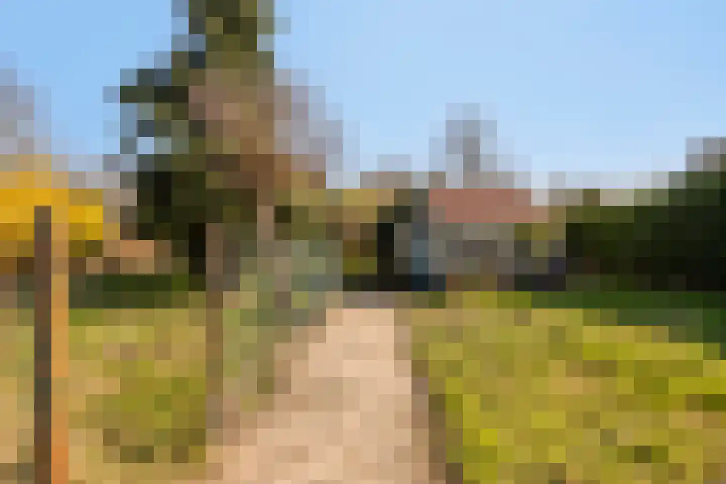 Spaubeekerstraat 29 Beek thumbnail 9