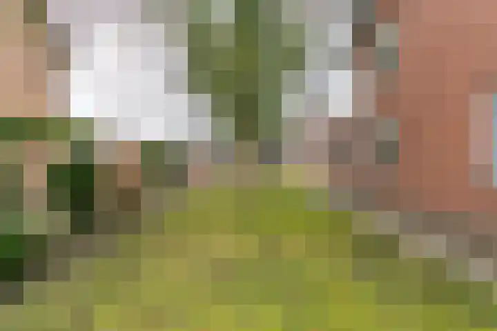 Spaubeekerstraat 69 Beek thumbnail 29