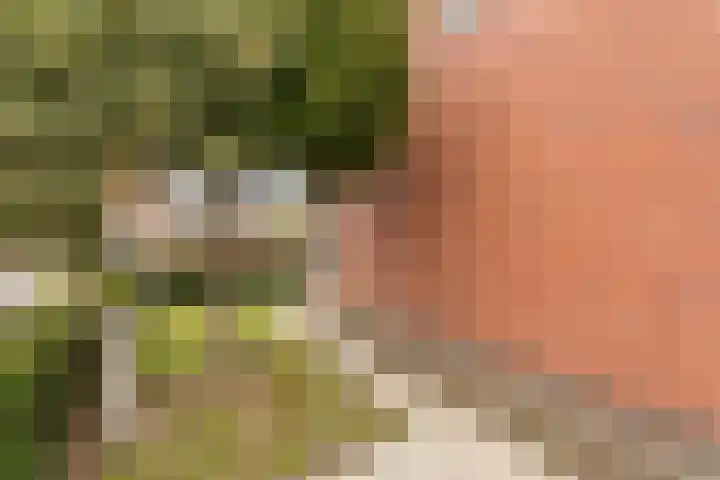 Spaubeekerstraat 69 Beek thumbnail 33