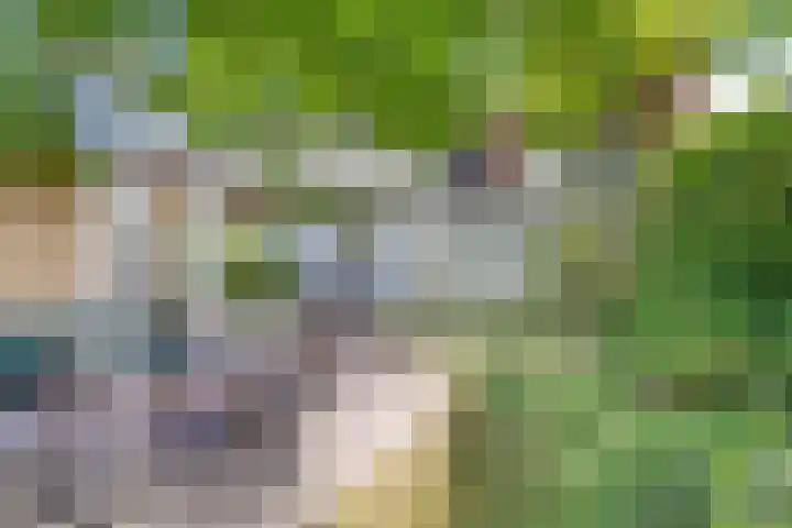 Spaubeeklaan 10 Geleen thumbnail 27