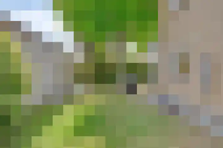 Spaubeeklaan 10 Geleen thumbnail 30