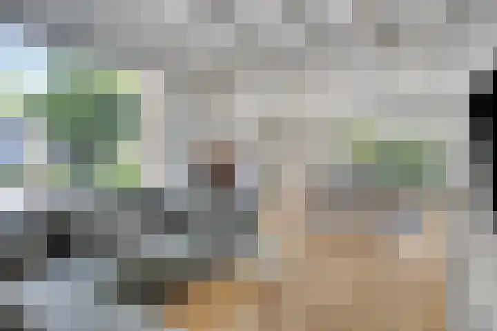 Spaubeeklaan 10 Geleen thumbnail 5