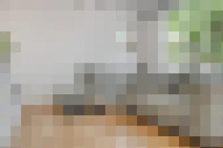 Spaubeeklaan 10 Geleen thumbnail 6