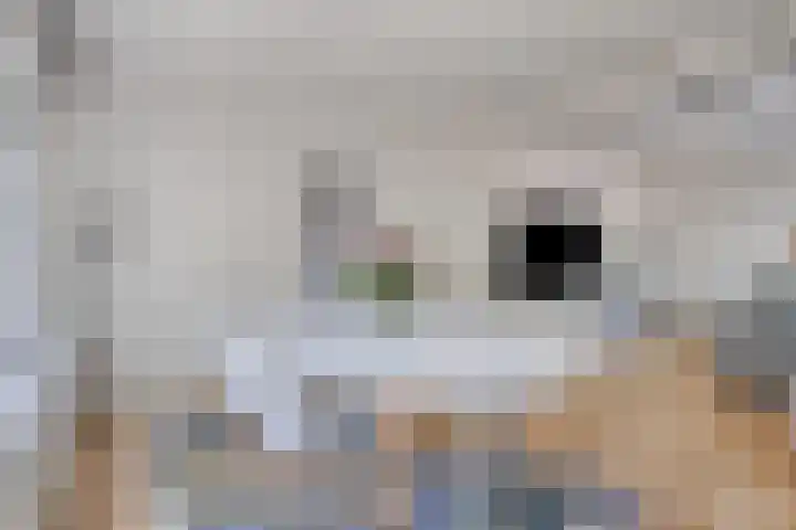 Spaubeeklaan 10 Geleen thumbnail 9