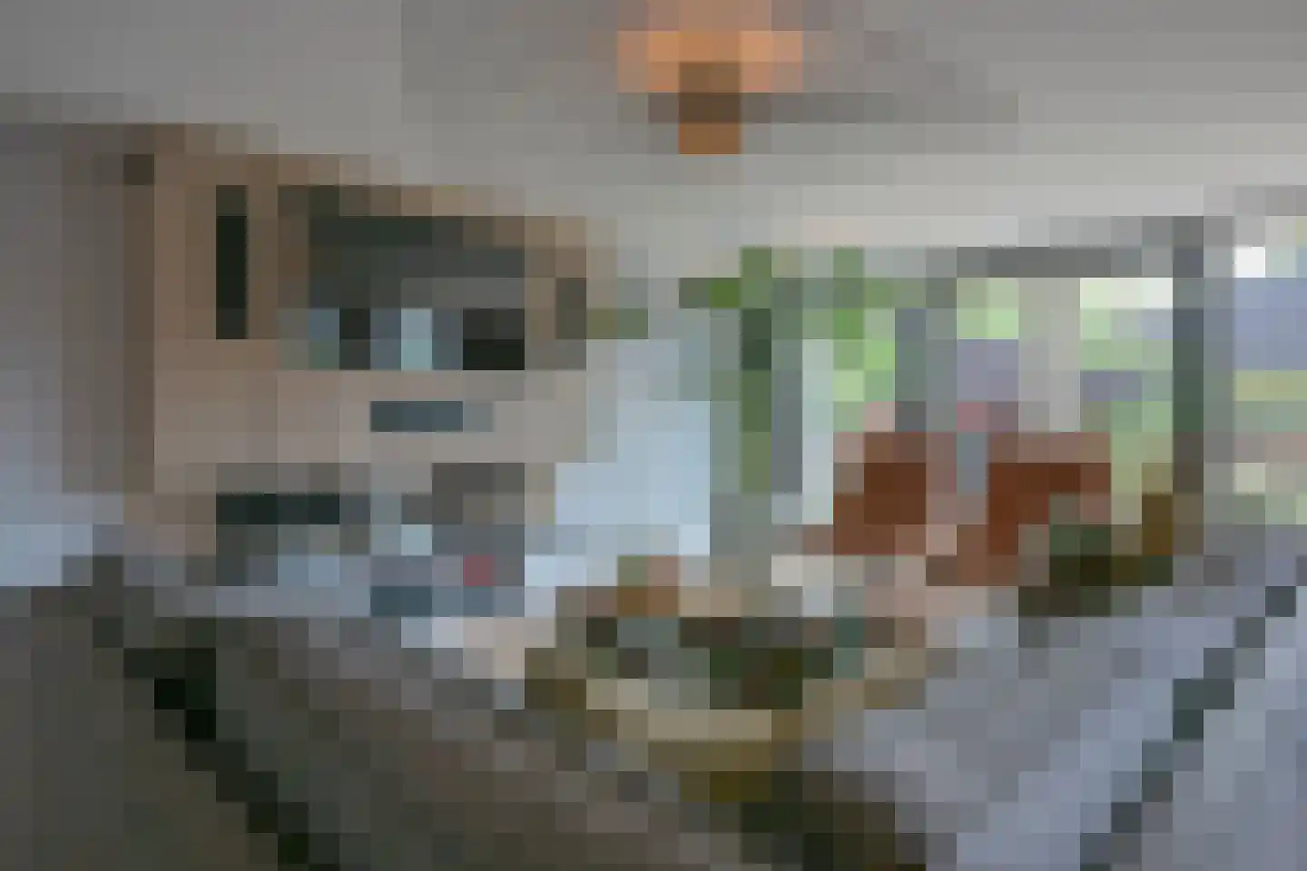 Spaubeeklaan 38 Geleen thumbnail 15