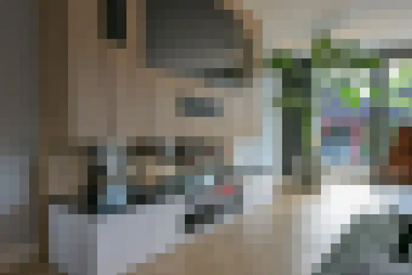 Spaubeeklaan 38 Geleen thumbnail 16