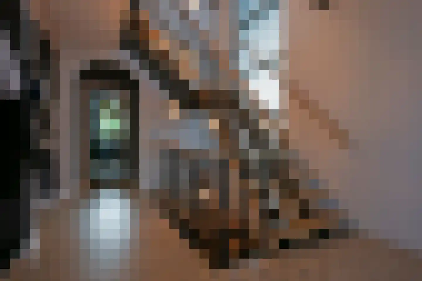 Spaubeeklaan 38 Geleen thumbnail 21