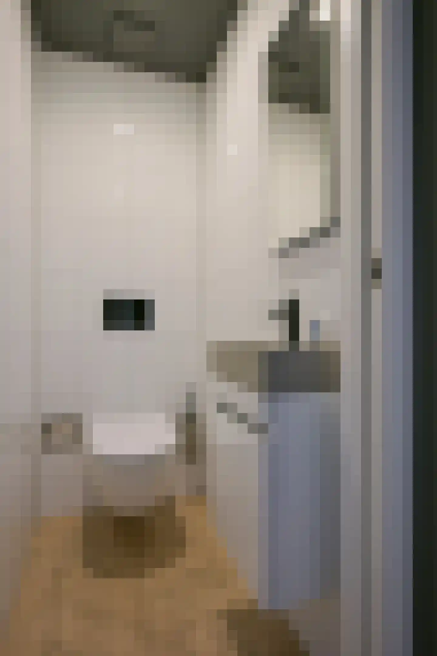 Spaubeeklaan 38 Geleen thumbnail 22