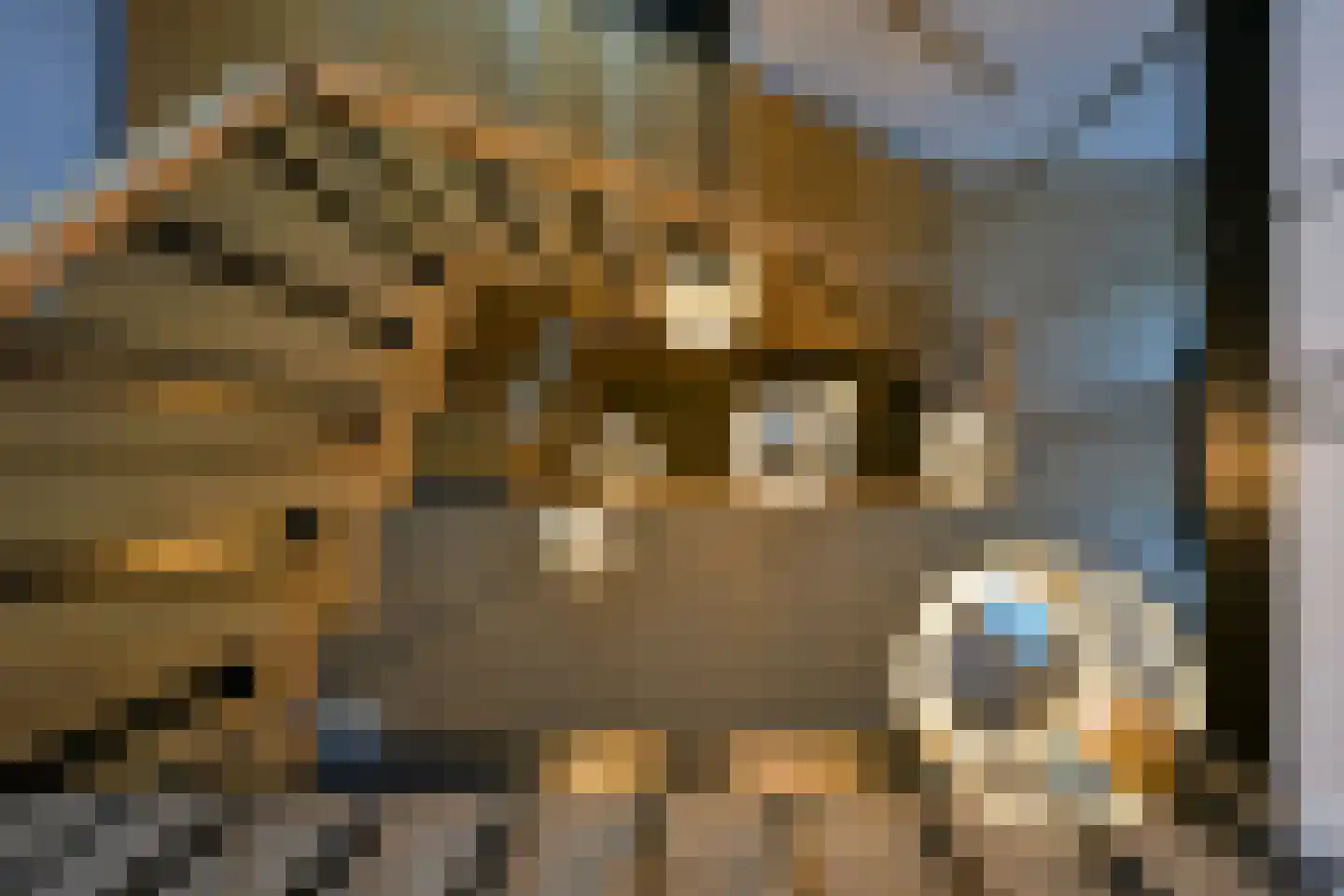 Spaubeeklaan 38 Geleen thumbnail 25