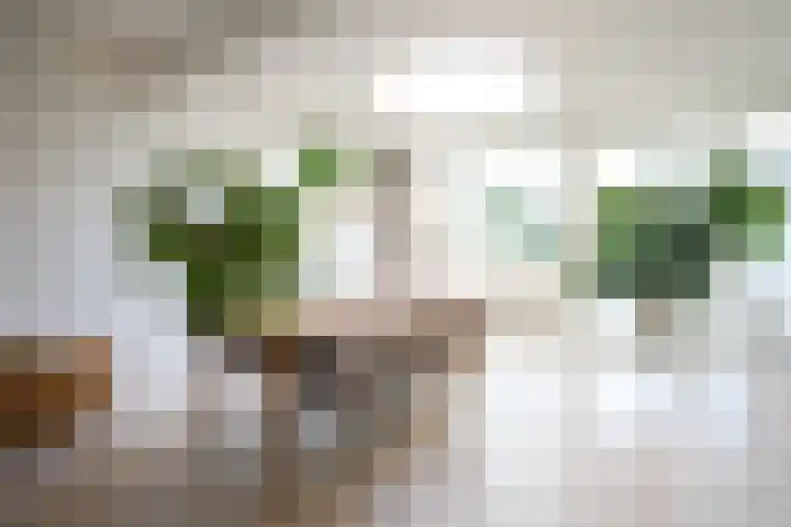 Spaubeeklaan 47 Geleen thumbnail 16