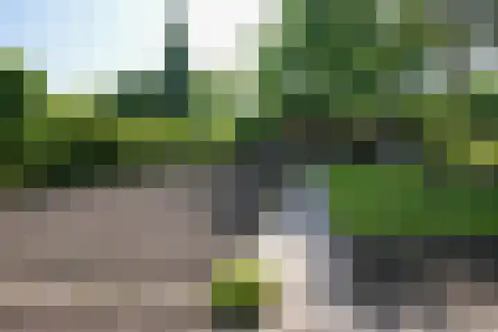 Spauwenstraat 9 Eijsden thumbnail 37