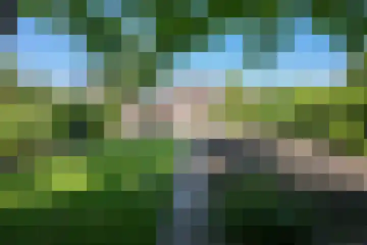 Spauwenstraat 9 Eijsden thumbnail 4