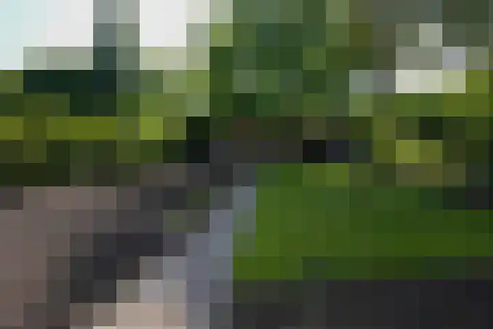 Spauwenstraat 9 Eijsden thumbnail 47