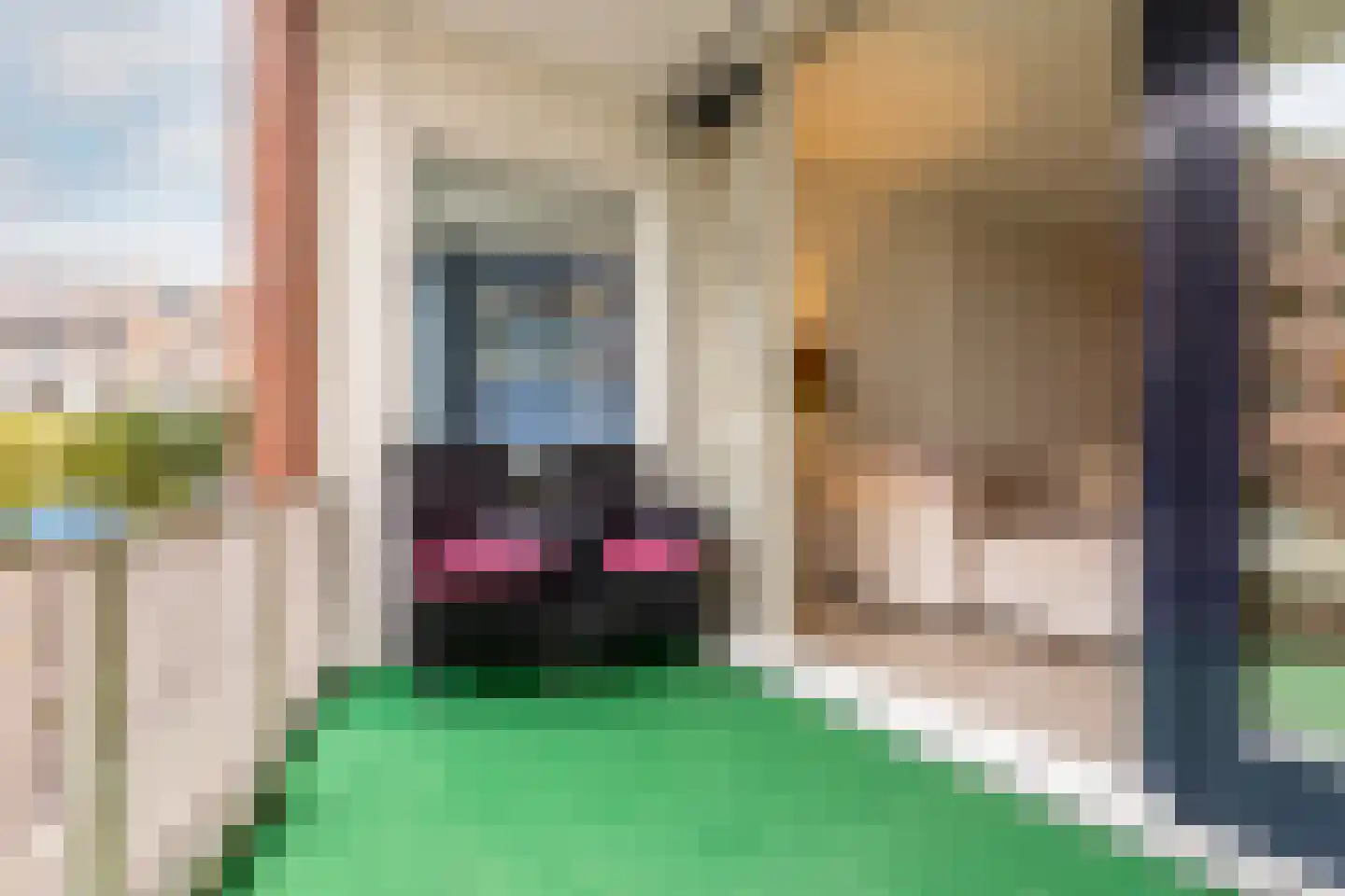 Specerijenhof 11 Rotterdam thumbnail 14