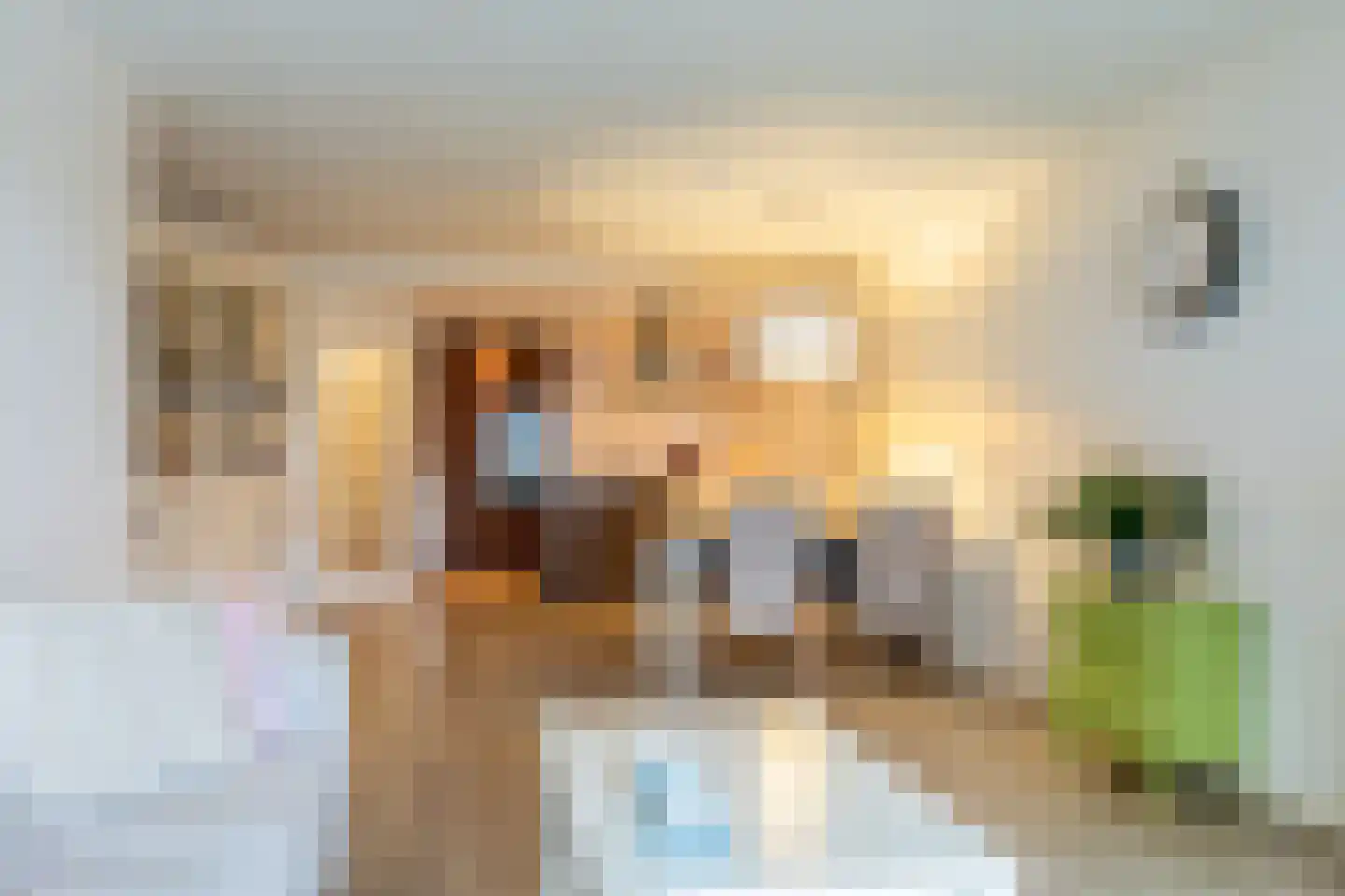 Specerijenhof 11 Rotterdam thumbnail 15