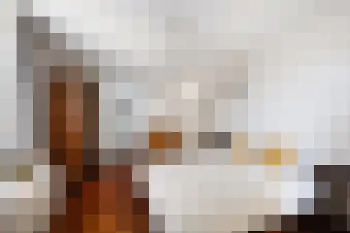 Specerijenhof 25 Rotterdam thumbnail 22