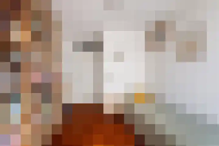 Specerijenhof 25 Rotterdam thumbnail 26