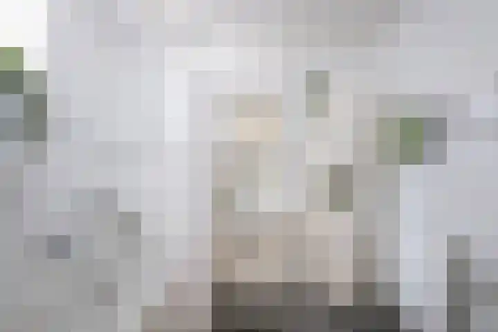 Specerijenhof 25 Rotterdam thumbnail 30
