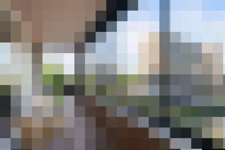 Specerijenhof 25 Rotterdam thumbnail 33
