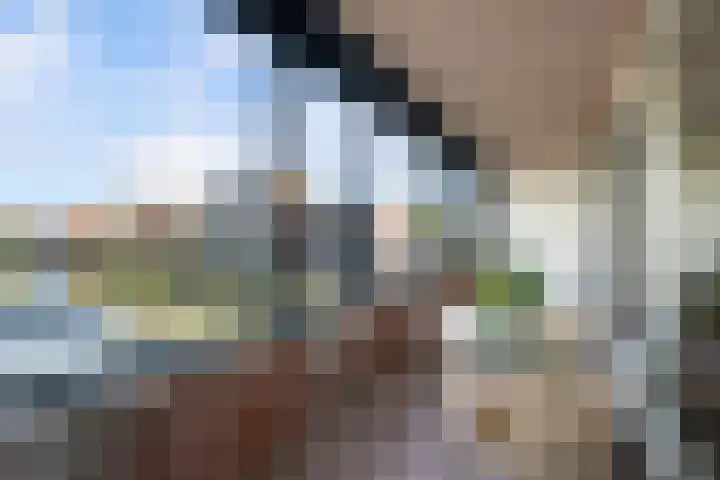 Specerijenhof 25 Rotterdam thumbnail 34