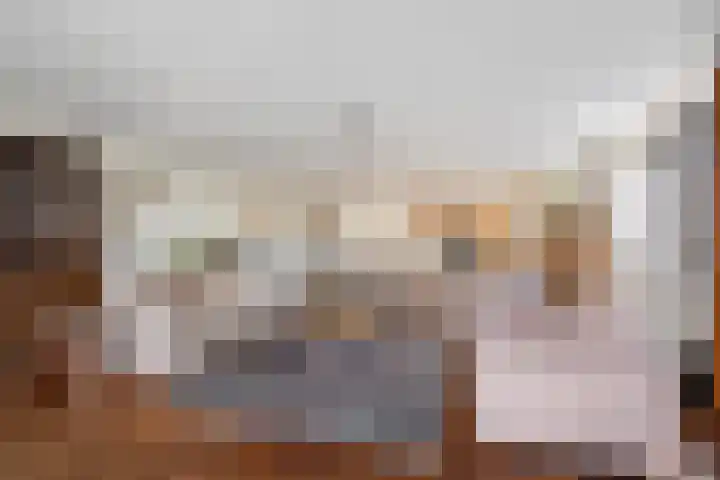 Specerijenhof 25 Rotterdam thumbnail 4